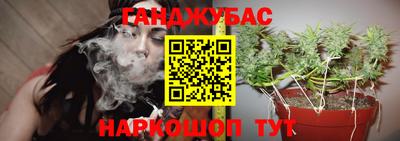 шишки Братск
