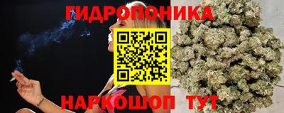 шишки Братск