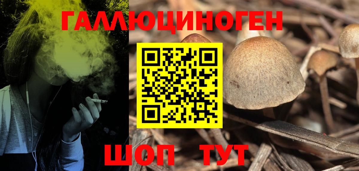 Белебей  купить   Вход с VPN  Галлюциногенные грибы Cubensis 